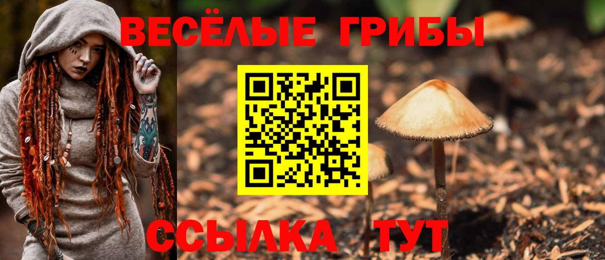 Галлюциногенные грибы Cubensis  Псилоцибиновые грибы прущие грибы  Вход с VPN  Калуга 