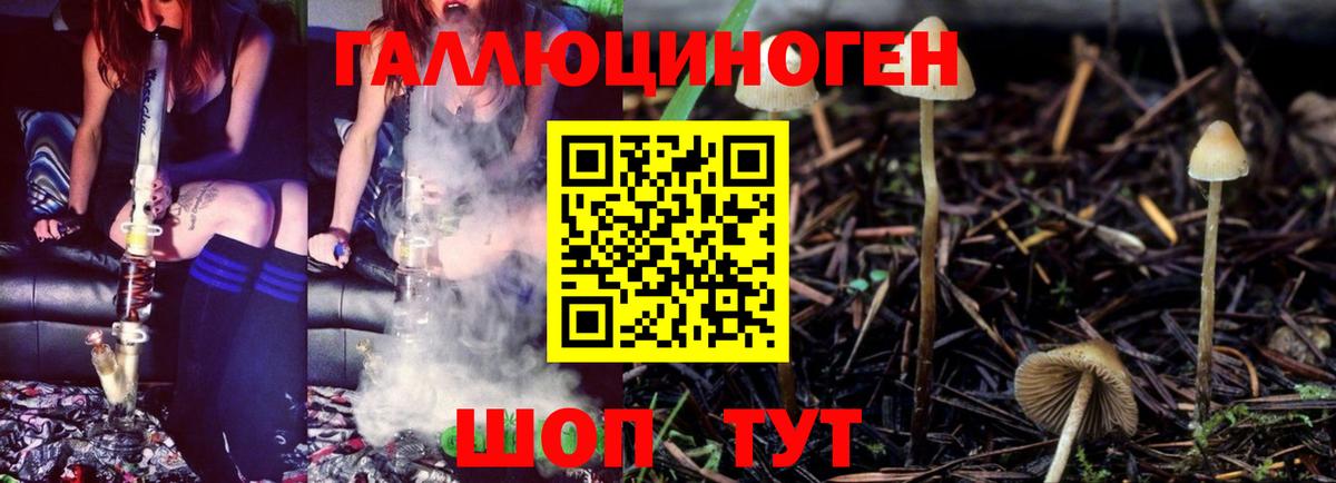 Псилоцибиновые грибы мицелий Калуга